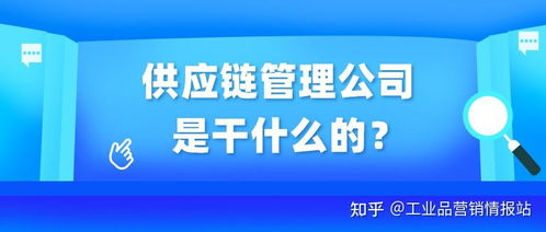 供應(yīng)鏈管理服務(wù) 連接企業(yè)與市場(chǎng)的高效橋梁