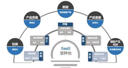 36氪首發 | 中農普惠獲4000萬元Pre-A輪融資，以種植SaaS為基石，深耕果蔬供應鏈服務